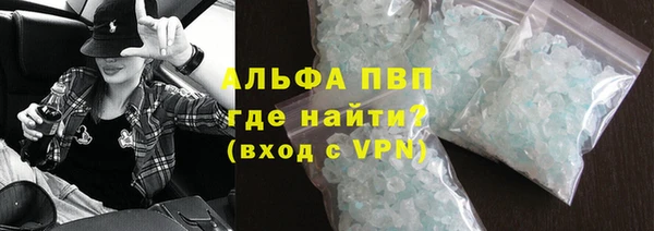 PSILOCYBIN Вяземский
