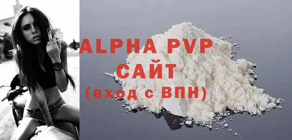 PSILOCYBIN Вяземский