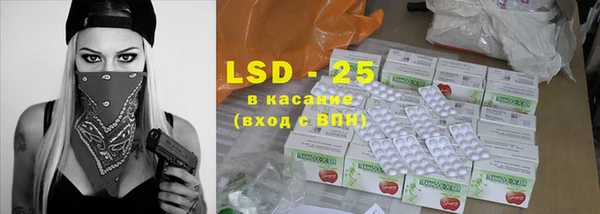 PSILOCYBIN Вяземский