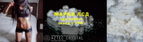прущие грибы Горняк