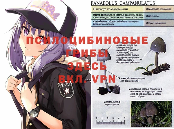 jwh Вязьма
