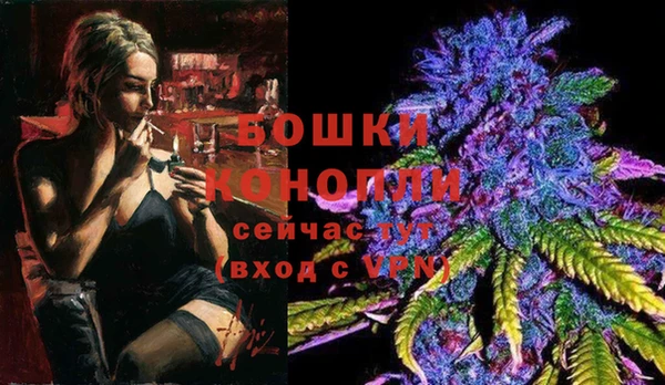прущие грибы Горняк