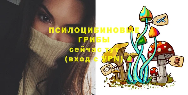PSILOCYBIN Вяземский