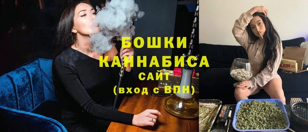 PSILOCYBIN Вяземский