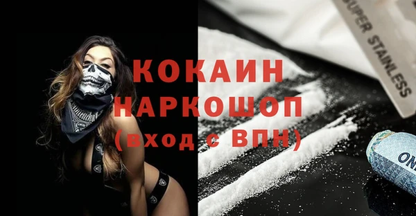 PSILOCYBIN Вяземский