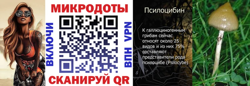 Купить  Карачев  Галлюциногенные грибы Cubensis 